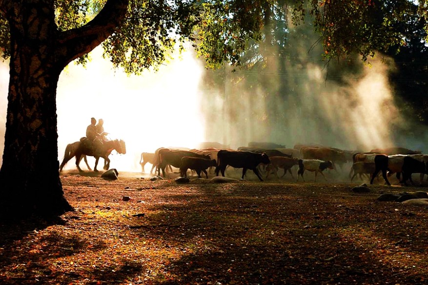 06b950b3-2e5e-4cb1-ac6c-ac85a3262abb